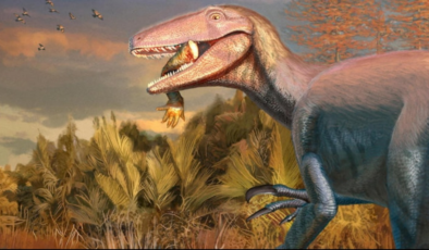 'Jurassic Park' filmlerinden fırlamış gibi… Yeni tür ağzındaki son yemeği ile bulundu