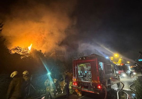 Beykoz'da orman yangını
