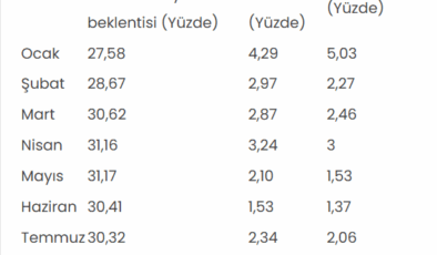 AA Finans'ın eylül ayı enflasyon beklenti anketi sonuçlandı