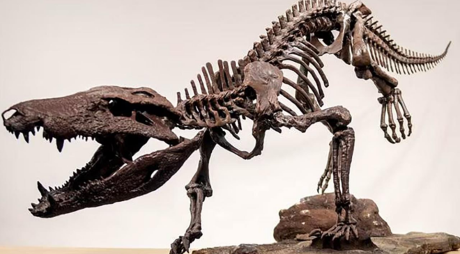 Dinozorlarla beslenen bir timsah keşfedildi