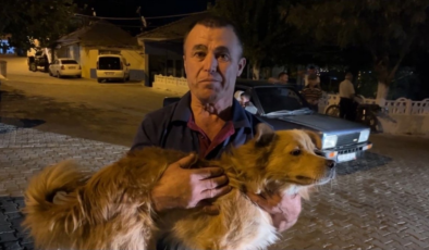 Mama verdiği köpek hayatını kurtardı