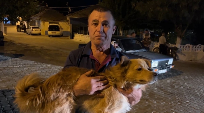 Mama verdiği köpek hayatını kurtardı