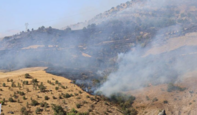 Aydın ve Elazığ'da yangın