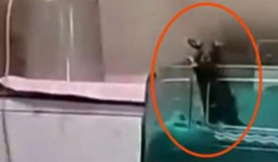 Kamu hastanesinde dehşet! Fare ısırıklarıyla iki bebek hayatını kaybetti