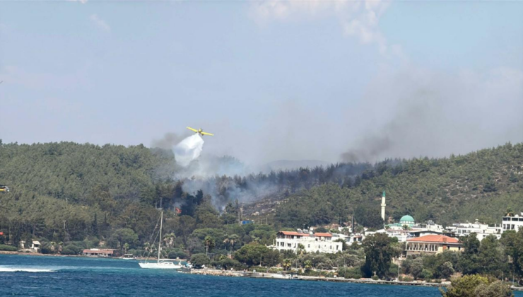 Muğla Bodrum'da orman yangını