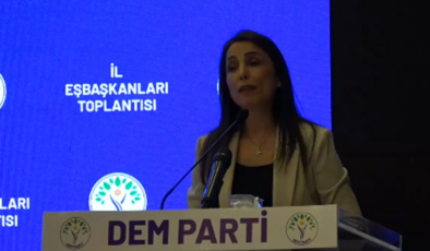 DEM Parti'den komisyona bir İmralı çağrısı daha