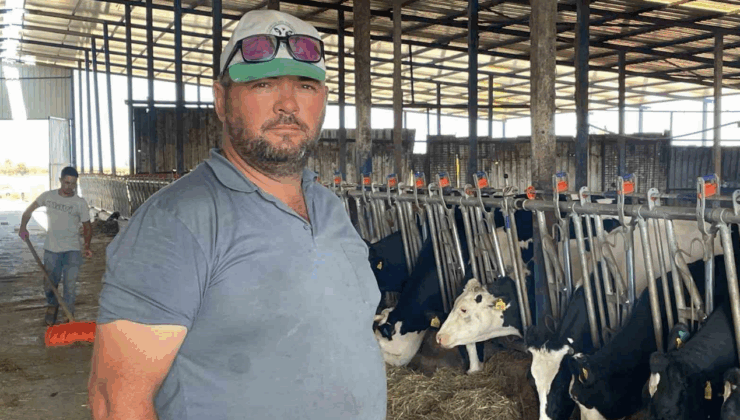 Bursalı süt üreticilerinden yem dayatmasına tepki! "Maliyetler yükseliyor"