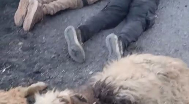 Su kanalına düşen araçtan çıktılar, böyle gözaltına alındılar