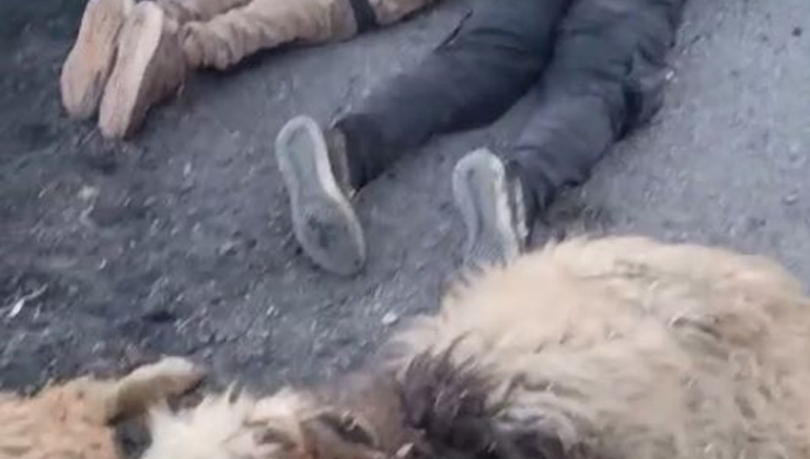 Su kanalına düşen araçtan çıktılar, böyle gözaltına alındılar