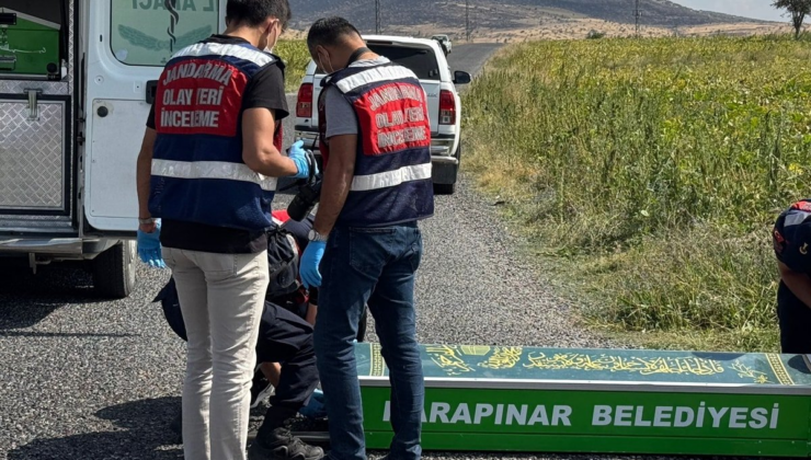 Kanlı infaz! Aracın önünü kestiler, iki kardeşi katlettiler