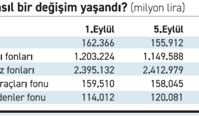 İlk siyasi kararda hisse ve para piyasası fonlarından sert çıkış