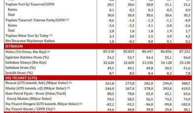 Türkiye'nin 2026-2028 OVP hedefleri açıklandı!