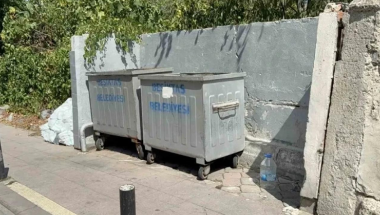 Bebeğini çöpe atmıştı… Cani anne hakkında karar verildi