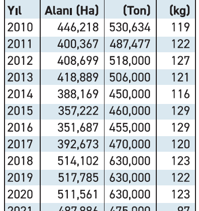 Kuraklığın vurduğu nohutta tohumluk dahi alınamadı
