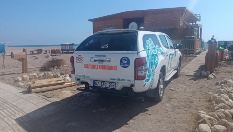 Türkiye’nin ilk 'deniz kaplumbağası ambulansı' görevde: DEKAFOK’tan deniz canlıları için özel ambulans