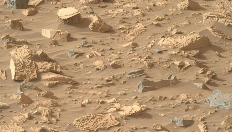 Nasa, Mars’ta en net yaşamı buldu!