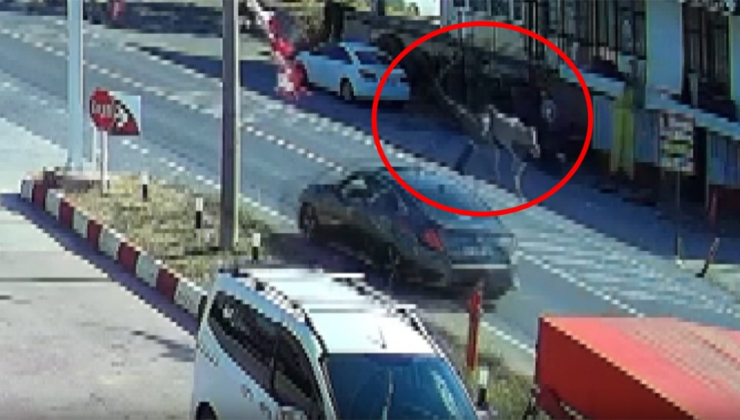Otomobil çarptı, metrelerce havaya savruldu