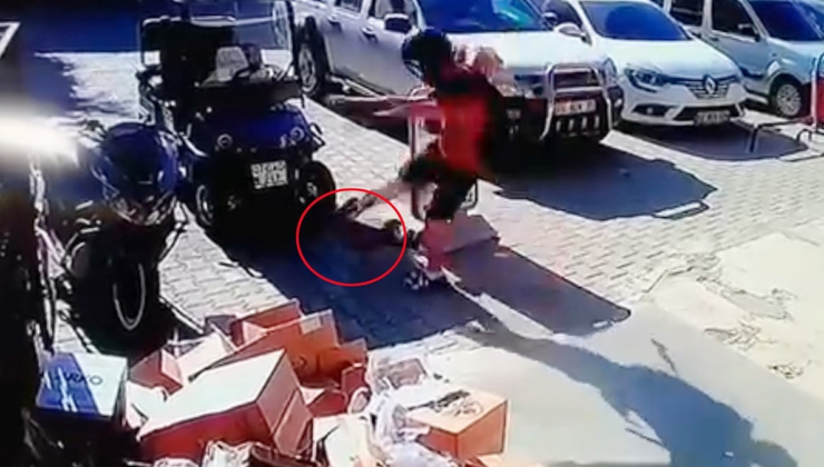 Alanya'da kediyi tekmeleyen şahıs hakkında flaş gelişme