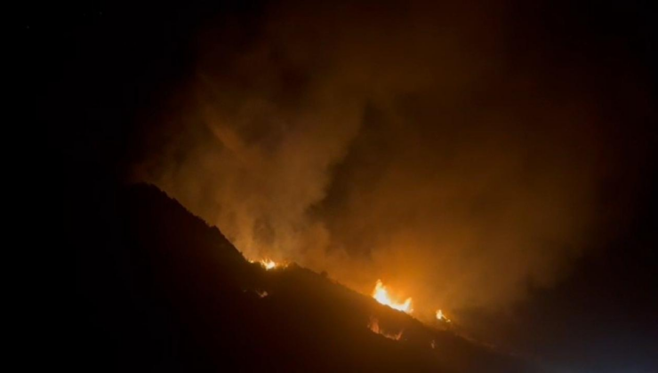 Hatay'da ağaçlık alanda yangın