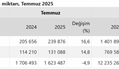 TÜİK açıkladı: Yumurta üretimi yıllık bazda yüzde 4,9 azaldı