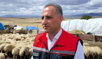 Kars'ta 1.5 milyon küçükbaş aşılanıyor