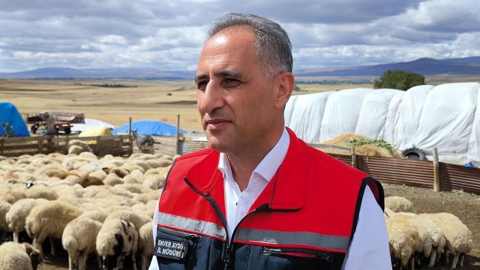 Kars'ta 1.5 milyon küçükbaş aşılanıyor