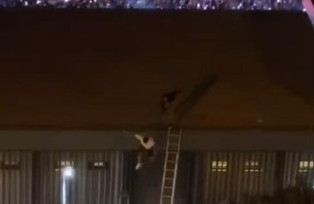 Blok3 konserinde bir genci çatıdan atan özel güvenlikçi tutuklandı (VİDEO)
