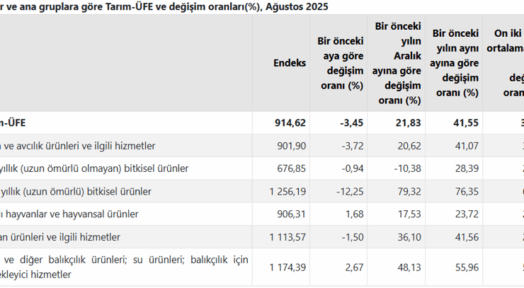 TÜİK açıkladı! Çiftçinin ağustos ayı enflasyonu belli oldu