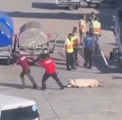 İstanbul Havalimanı'ndaki görüntülerle ilgili skandal iddia