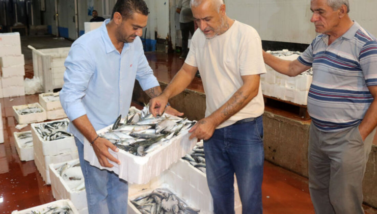 Yasak kalktı: 1 kilo fiyatına 1 kasa balık