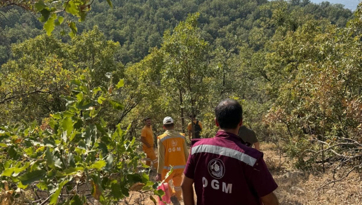 Şırnak’ta orman yangını