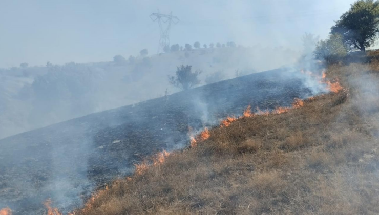 Tokat'ta makilik alanda yangın