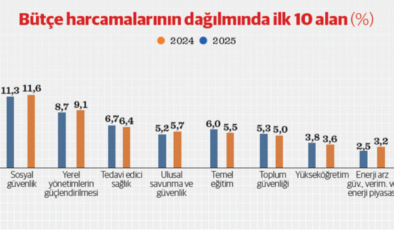 Bütçede ‘aslan’ın payı daha da büyüdü