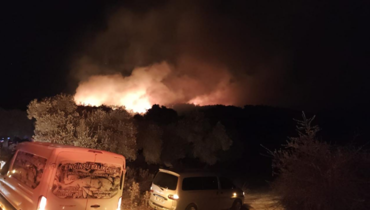 Milas'ta çıkan orman yangınına müdahale ediliyor