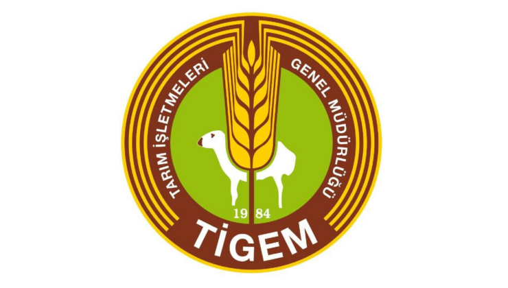 TİGEM 3 bin 200 reforme küçükbaş hayvan satacak
