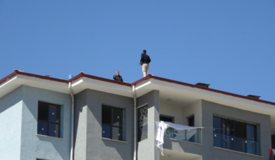 Alacağını alamadı çatıya çıktı, polis yiyecek verip indirdi