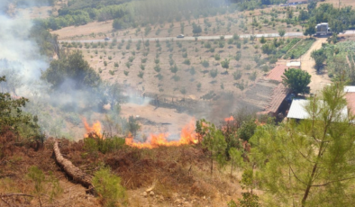 Balıkesir Sındırgı’daki orman yangını kontrol altına alındı