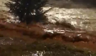Rize'de sağanak yağış, sel ve heyelana neden oldu