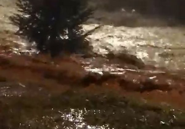 Rize'de sağanak yağış, sel ve heyelana neden oldu