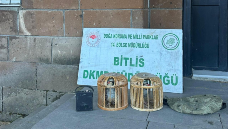 Kaçak keklik avlayan kişilere para cezası kesildi
