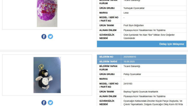 Piyasadan toplatılıyor: Bakanlık, iki oyuncağın satışını yasakladı
