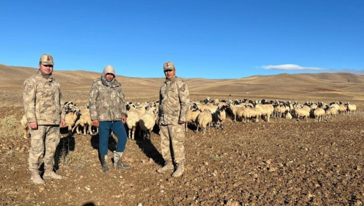 Erzincan’da kaybolan 300 koyun İHA ile bulundu