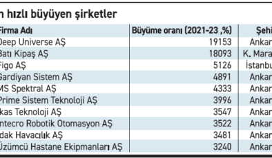 En hızlı büyüyen 100 şirket, 6 tur bindirdi