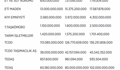 KİT ödenek tavanları belirlendi! En yüksek 332,6 milyar lirayla TPAO'ya verildi