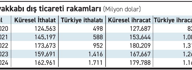 Türkiye’nin ayakkabı ithalatı 4 yılda 3’e katlandı