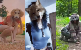 Köpek olmak için servet harcayan Japon adama yeni rakip çıktı