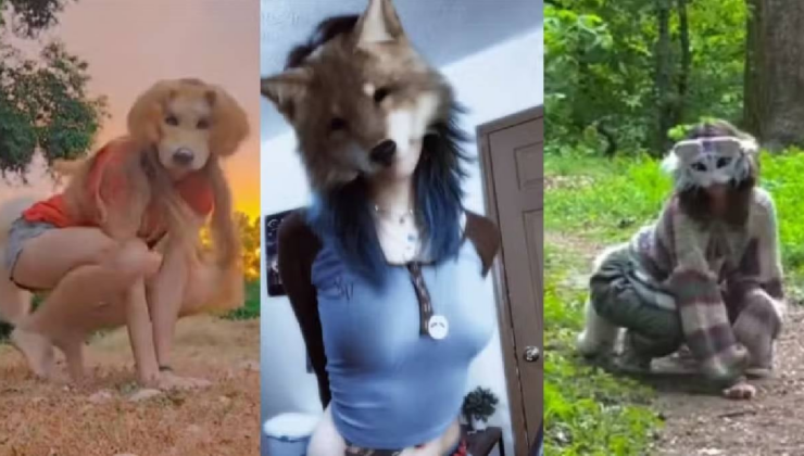 Köpek olmak için servet harcayan Japon adama yeni rakip çıktı